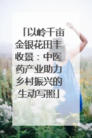 以岭千亩金银花田丰收景：中医药产业助力乡村振兴的生动写照