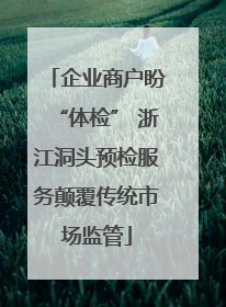 企业商户盼“体检” 浙江洞头预检服务颠覆传统市场监管