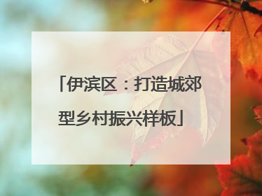 伊滨区：打造城郊型乡村振兴样板