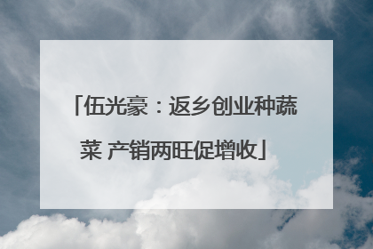 伍光豪：返乡创业种蔬菜 产销两旺促增收