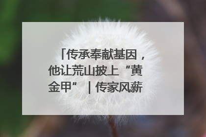 传承奉献基因，他让荒山披上“黄金甲”｜传家风薪火 颂家国情深