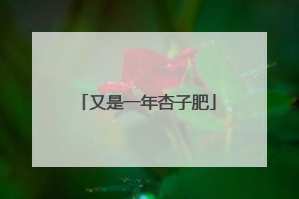 又是一年杏子肥