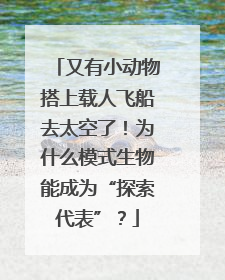 又有小动物搭上载人飞船去太空了！为什么模式生物能成为“探索代表”？