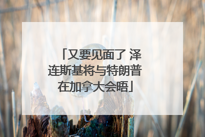 又要见面了 泽连斯基将与特朗普在加拿大会晤