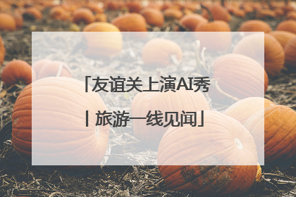 友谊关上演AI秀丨旅游一线见闻