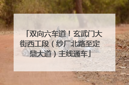 双向六车道！玄武门大街西工段（纱厂北路至定鼎大道）主线通车