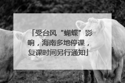 受台风“蝴蝶”影响，海南多地停课，复课时间另行通知