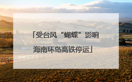 受台风“蝴蝶”影响 海南环岛高铁停运