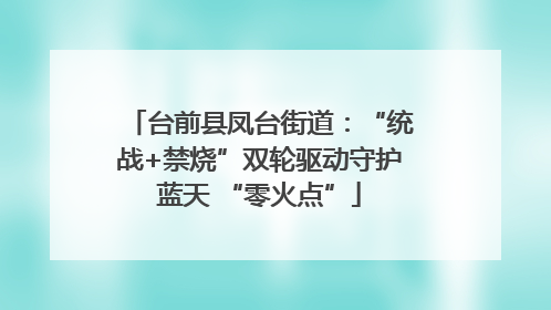 台前县凤台街道：“统战+禁烧”双轮驱动守护蓝天 “零火点”