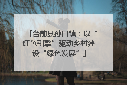台前县孙口镇：以“红色引擎”驱动乡村建设“绿色发展”
