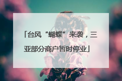 台风“蝴蝶”来袭，三亚部分商户暂时停业