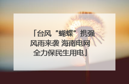 台风“蝴蝶”携强风雨来袭 海南电网全力保民生用电