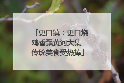 史口镇：史口烧鸡香飘黄河大集 传统美食受热捧