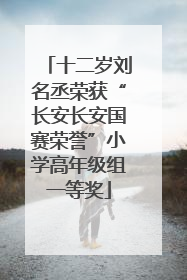 十二岁刘名丞荣获“长安长安国赛荣誉”小学高年级组一等奖