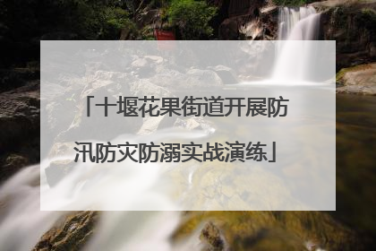 十堰花果街道开展防汛防灾防溺实战演练