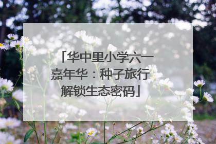 华中里小学六一嘉年华：种子旅行解锁生态密码
