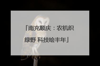 南充顺庆：农机织绿野 科技绘丰年