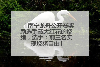 南宁龙舟公开赛奖励选手戴大红花的烧猪，选手：前三名实现烧猪自由