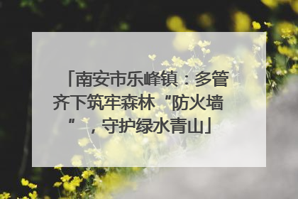 南安市乐峰镇：多管齐下筑牢森林“防火墙”，守护绿水青山