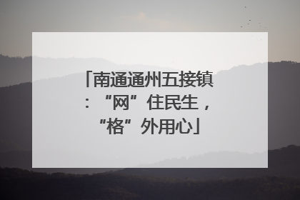 南通通州五接镇：“网”住民生，“格”外用心