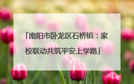 南阳市卧龙区石桥镇：家校联动共筑平安上学路