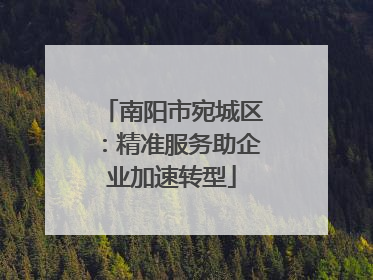 南阳市宛城区：精准服务助企业加速转型