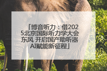 博音听力：借2025北京国际听力学大会东风 开启国产助听器AI赋能新征程
