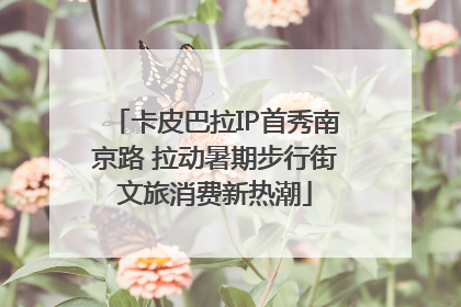 卡皮巴拉IP首秀南京路 拉动暑期步行街文旅消费新热潮