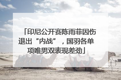 印尼公开赛陈雨菲因伤退出“内战”，国羽各单项唯男双表现差劲