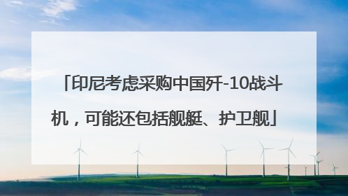 印尼考虑采购中国歼-10战斗机，可能还包括舰艇、护卫舰