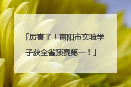 厉害了！南阳市实验学子获全省预赛第一！