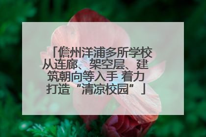 儋州洋浦多所学校从连廊、架空层、建筑朝向等入手 着力打造“清凉校园”