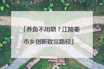 养鱼不用塘？江陵秦市乡创新致富路径