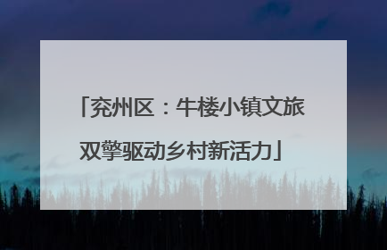 兖州区：牛楼小镇文旅双擎驱动乡村新活力
