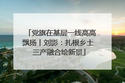 党旗在基层一线高高飘扬丨刘影：扎根乡土 三产融合绘新景