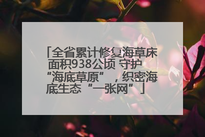 全省累计修复海草床面积938公顷 守护“海底草原”，织密海底生态“一张网”