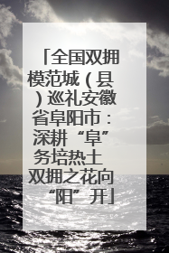 全国双拥模范城（县）巡礼安徽省阜阳市：深耕“阜”务培热土 双拥之花向“阳”开
