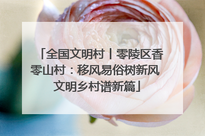 全国文明村丨零陵区香零山村：移风易俗树新风 文明乡村谱新篇