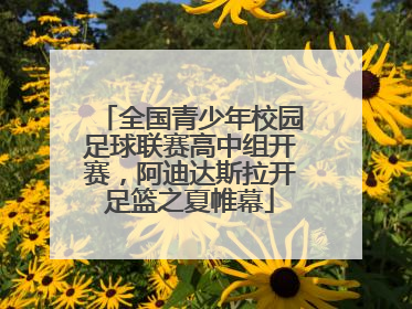 全国青少年校园足球联赛高中组开赛，阿迪达斯拉开足篮之夏帷幕