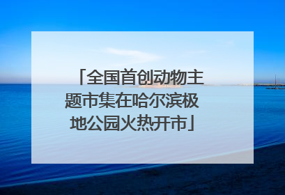 全国首创动物主题市集在哈尔滨极地公园火热开市
