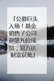 公募巨头入场！基金销售子公司迎第九位成员，易方达财富获批