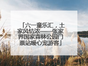 六一童乐汇，土家风情浓——张家界国家森林公园门票站暖心宠游客