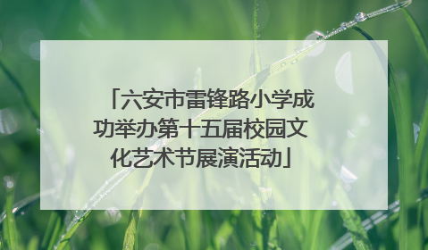六安市雷锋路小学成功举办第十五届校园文化艺术节展演活动