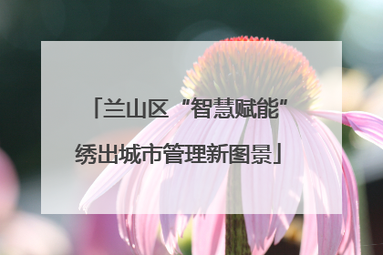兰山区“智慧赋能”绣出城市管理新图景
