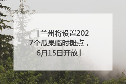 兰州将设置2027个瓜果临时摊点，6月15日开放