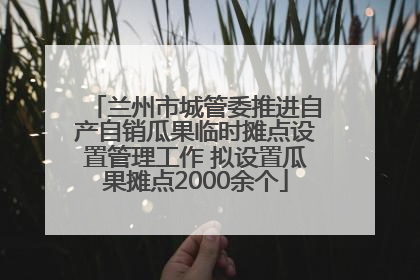 兰州市城管委推进自产自销瓜果临时摊点设置管理工作 拟设置瓜果摊点2000余个