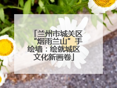 兰州市城关区“烟雨兰山”手绘墙：绘就城区文化新画卷