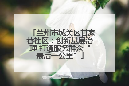 兰州市城关区甘家巷社区：创新基层治理 打通服务群众“最后一公里”