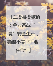 兰考县考城镇：全力备战“三夏”安全生产，确保小麦“丰收在仓”