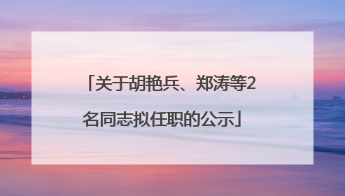 关于胡艳兵、郑涛等2名同志拟任职的公示